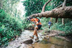 BIB: 
                            <button type="button" onclick="openModal(25376071)" class="btn btn-primary btn-sm float-right btn-popup" data-toggle="modal" data-target=".modal-high-quality">
                        <i class="fas fa-shopping-cart"></i> Add to Cart
                    </button>
                                            <button type="button" onclick="isThisMe(25376071, true)" class="btn btn-success btn-sm float-right btn-popup btn-isme hidden" data-toggle="tooltip" data-placement="bottom" title="นี่คือรูปของคุณใช่ไหม คลิกที่นี่เพื่อเอาเข้าอัลบั้ม">
                        <i class="fas fa-plus"></i> Add to album
                    </button>
                    <button type="button" onclick="isThisMe(25376071, false)" class="btn btn-warning btn-sm float-right btn-popup btn-isnotme hidden">
                        <i class="fas fa-ban"></i> Remove from album
                    </button>